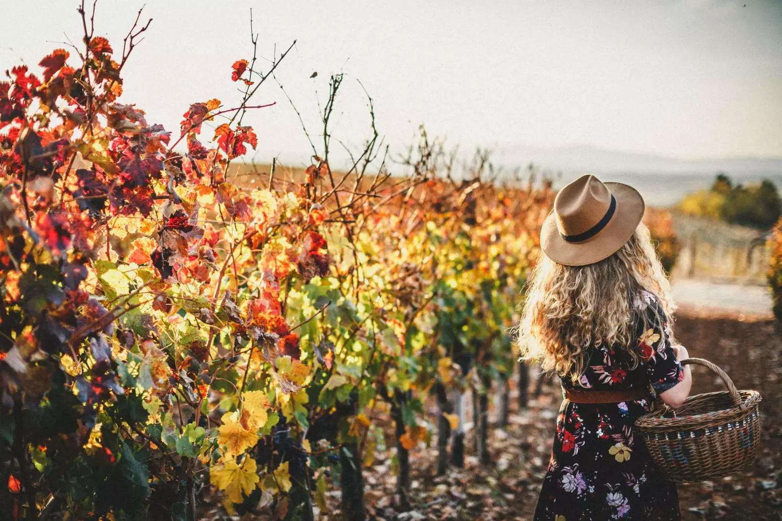 Fall in love with La Rioja Alta.