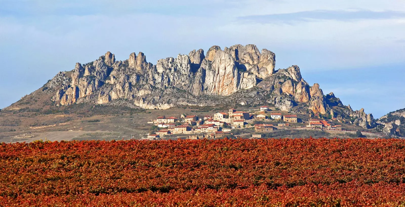 Així de bonic és Cellòrigo.