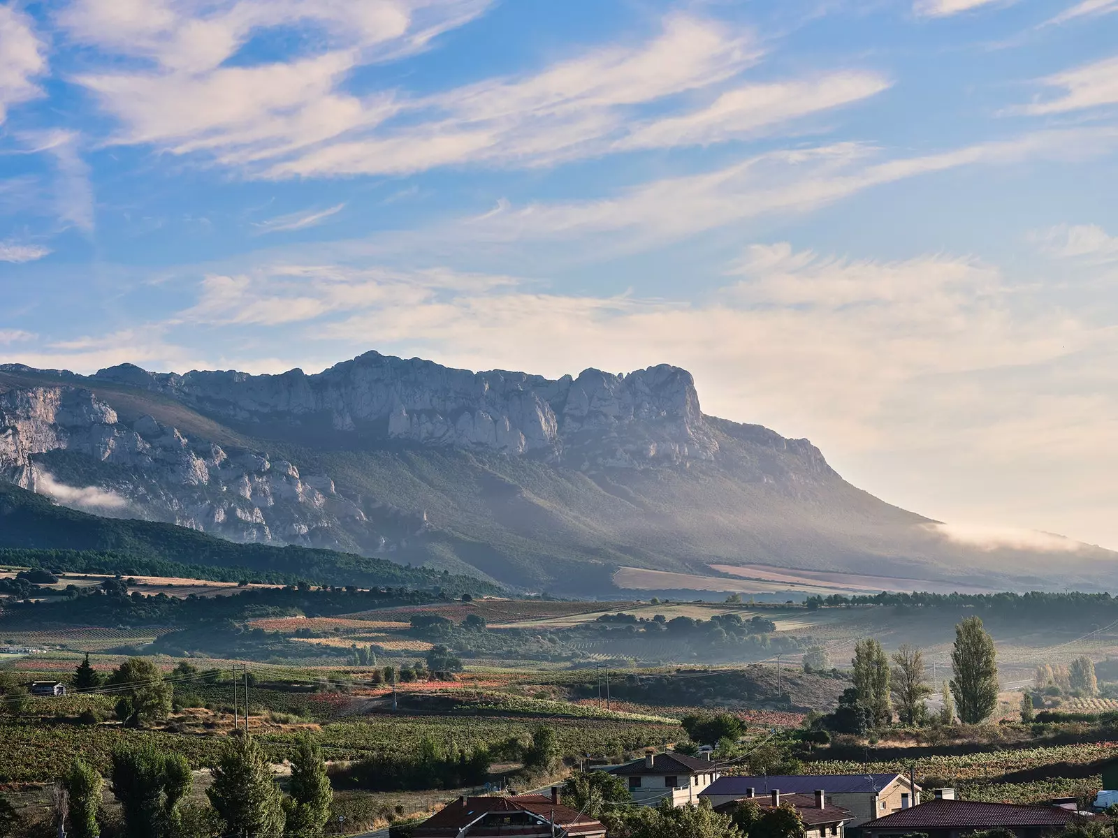 Vignobles de la Rioja Alavesa