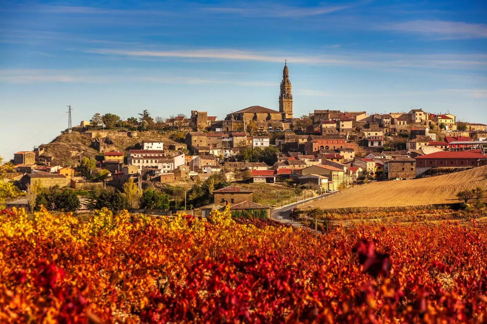 Sbuħija pura ta’ Rioja