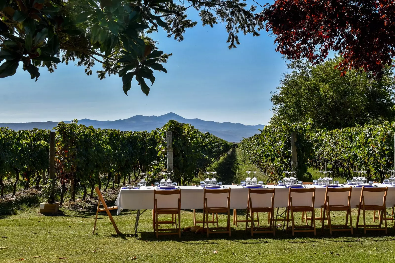 Tisch mit Blick auf die Weinberge der Finca La Emperatriz La Rioja.