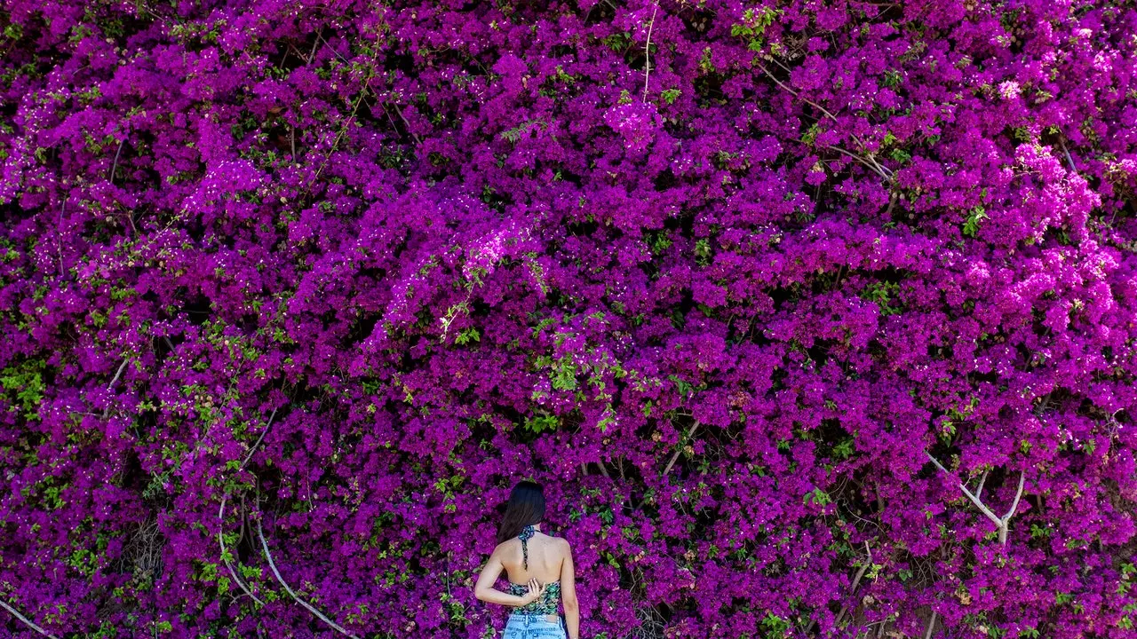 Trasa nejkrásnějšími vesnicemi Provence