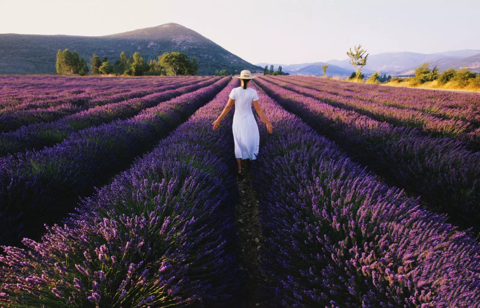 Cele mai bune sate din Provence.