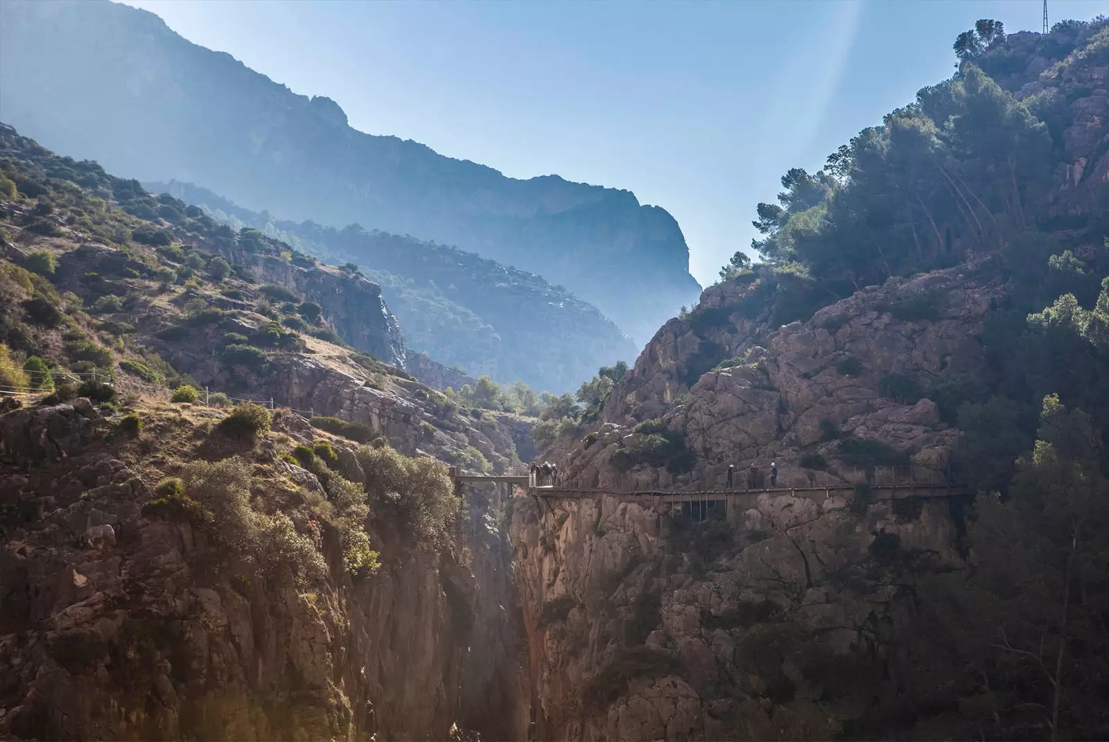 Թագավորի ուղին