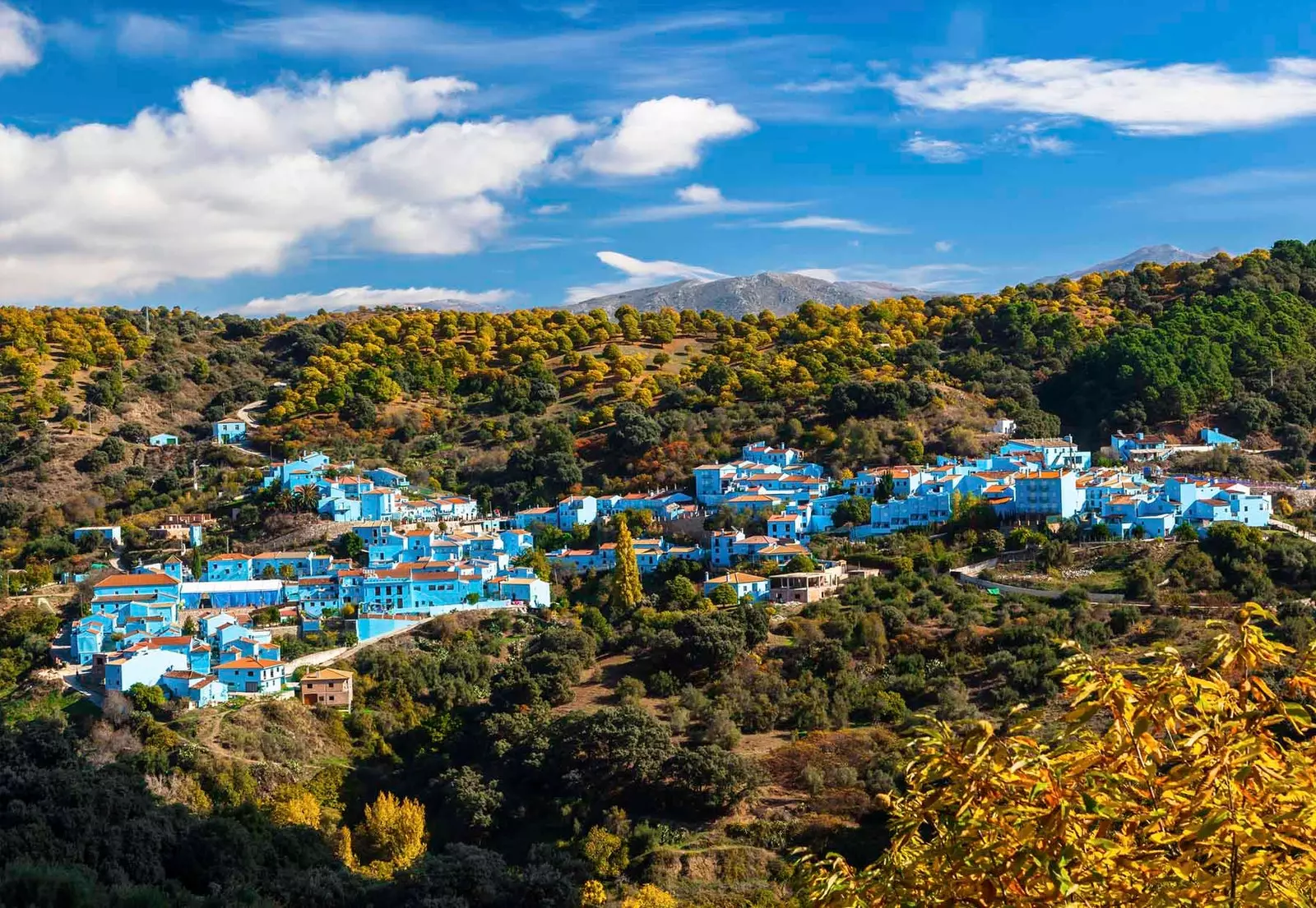 Juzcar the Blue Village