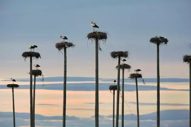 Сапраўдныя экстрэмадурцы