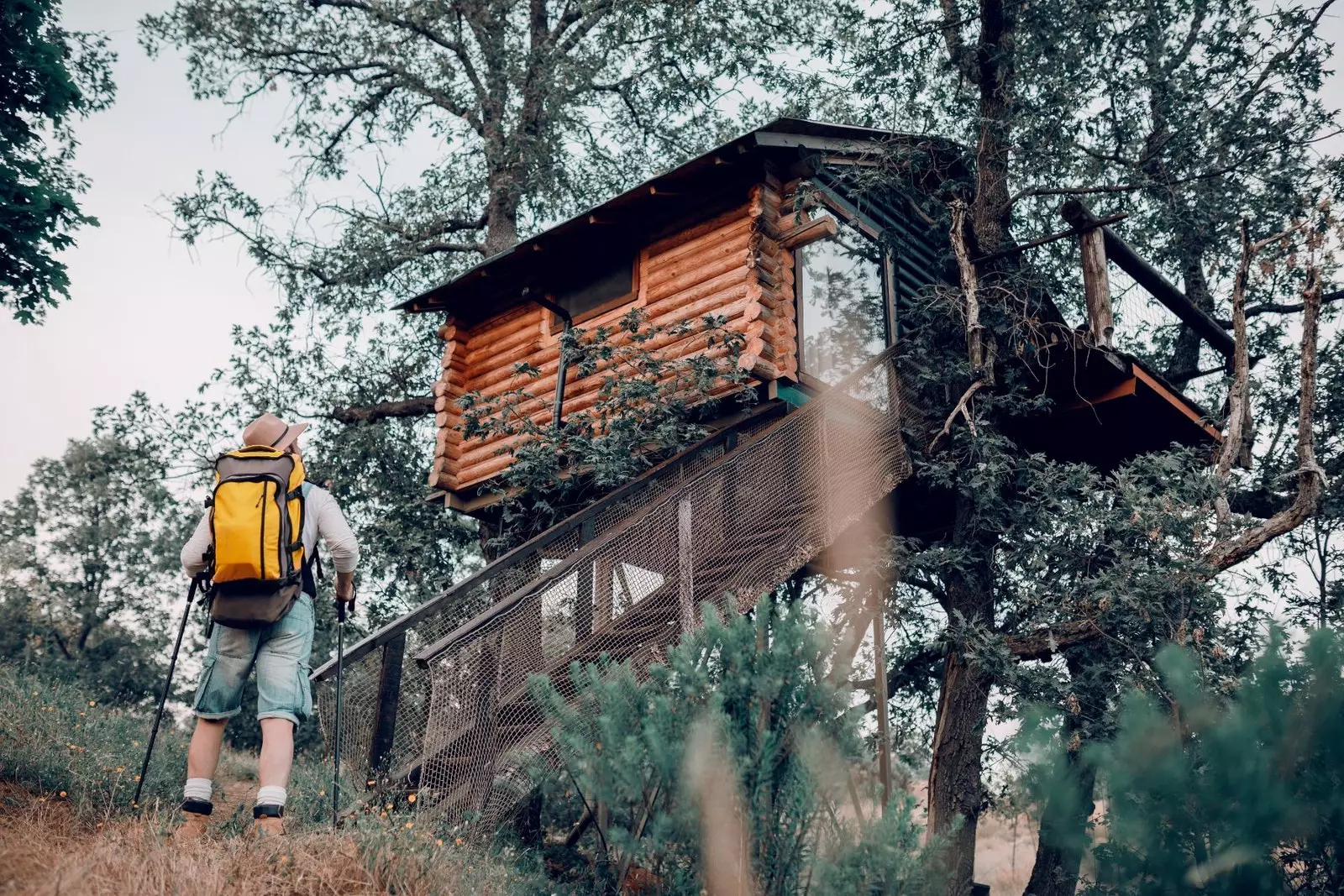 Kabin dalam pokok Extremadura Sierra de Gata