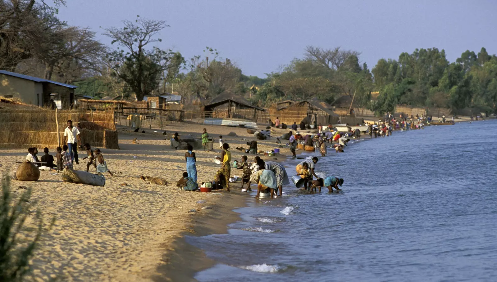 Monkey Bay Malawi