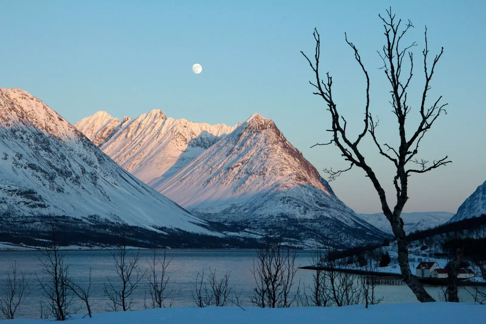 Lyngen sob a lua cheia.