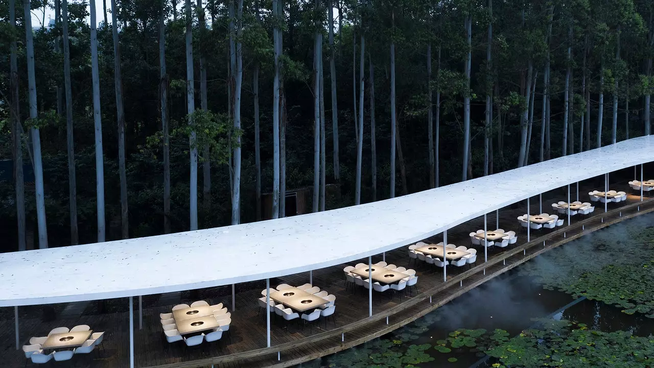 Entre uma floresta de eucaliptos e sem paredes, assim é este restaurante na China