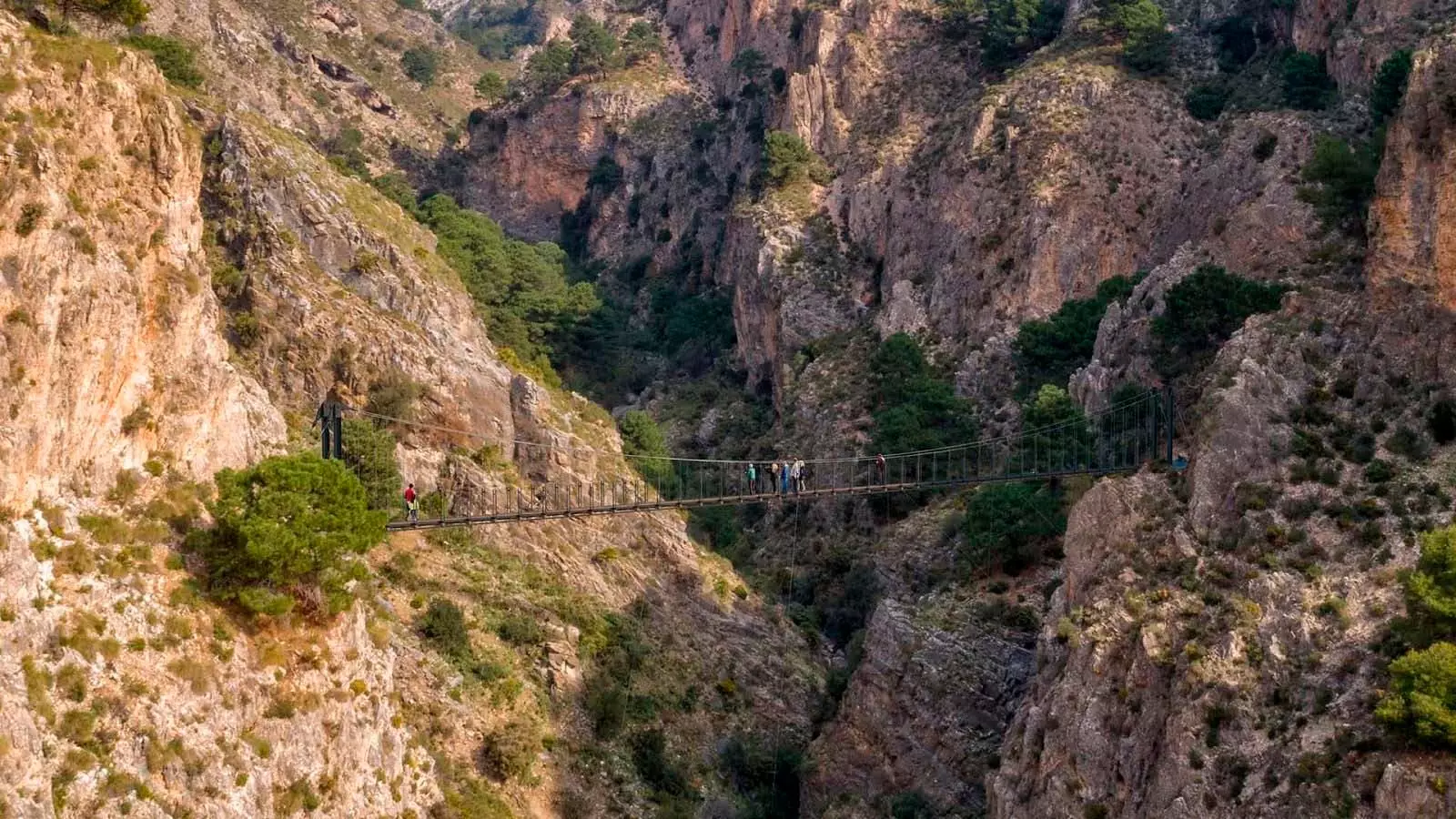 hangbrug van de saltillo malaga