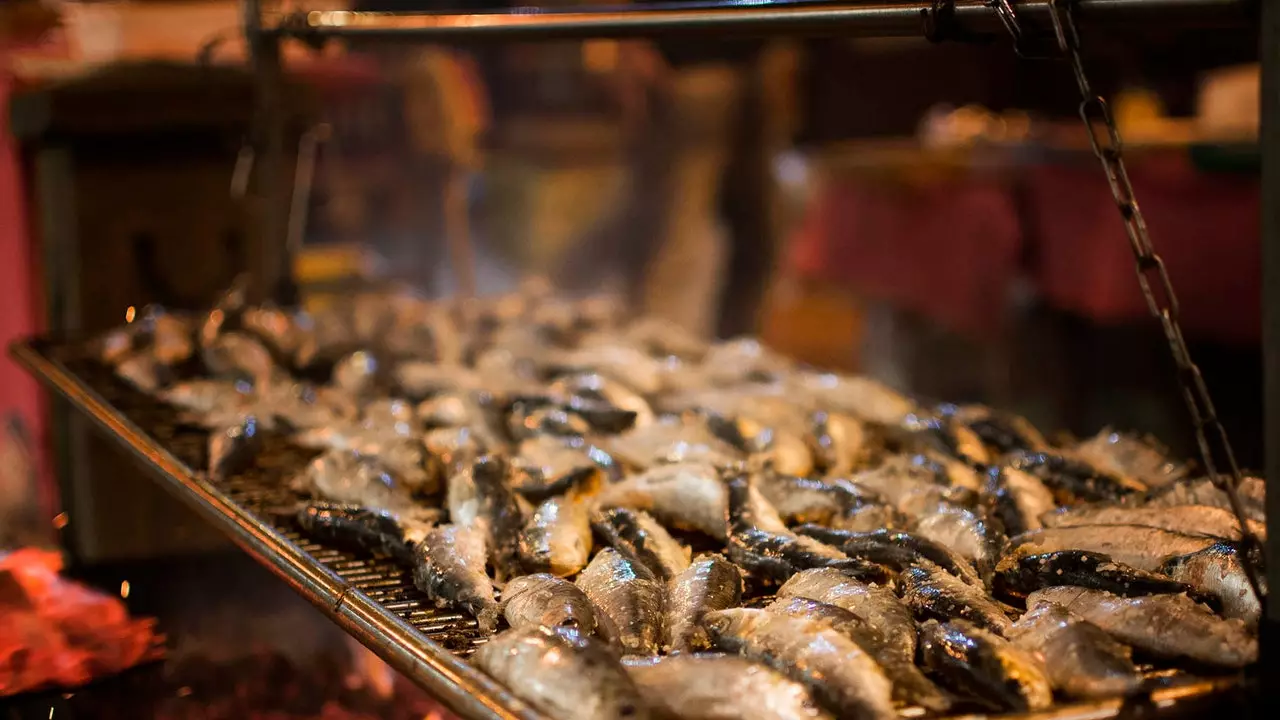 Dicionário básico para comer peixe (e marisco) na Galiza