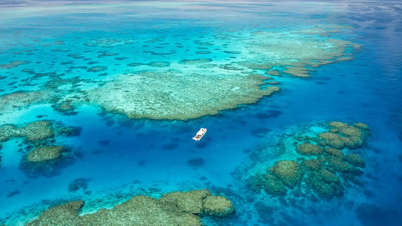 Pariwisata di Australia: panduan berita dari pantai ke pantai negara