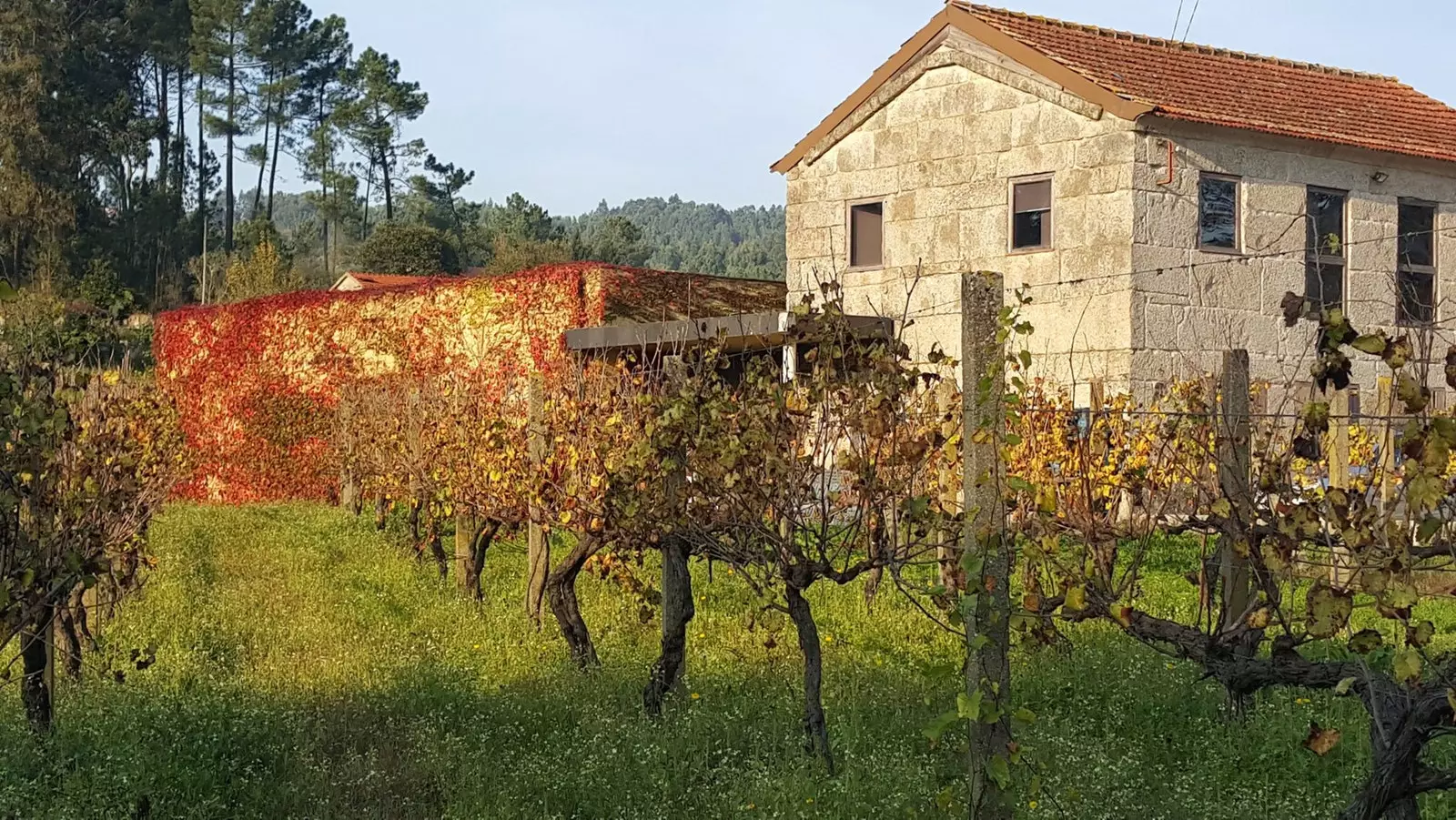 Casa de Cello, a family farmhouse where four different generations have produced wine.