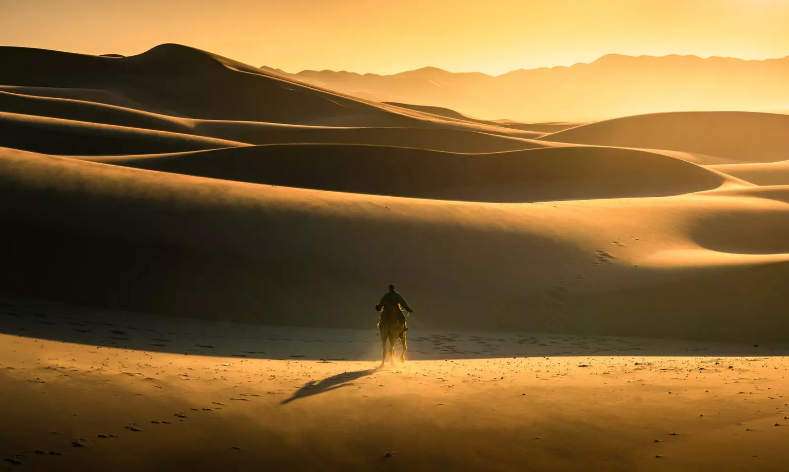 Sich der Wüste Gobi zu stellen ist mehr als ein Erlebnis, es ist eine lebenswichtige Herausforderung.