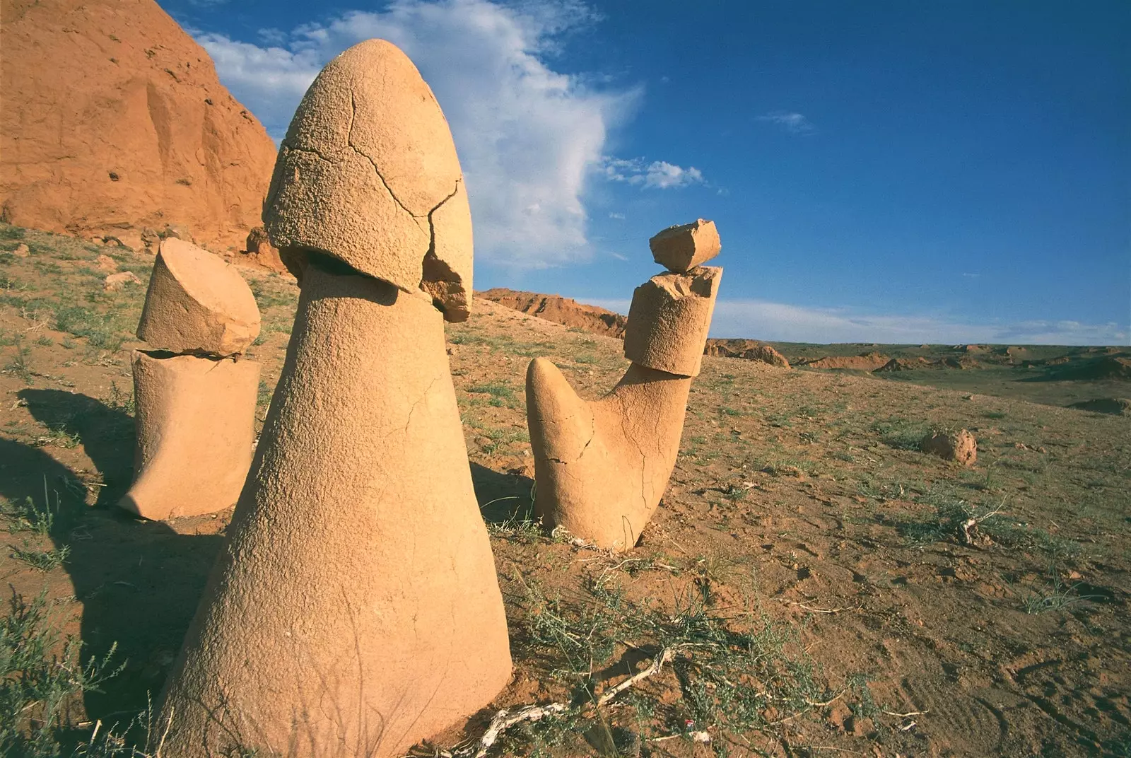 Fossilized dinosaur bones in the Bayanzag Valley.