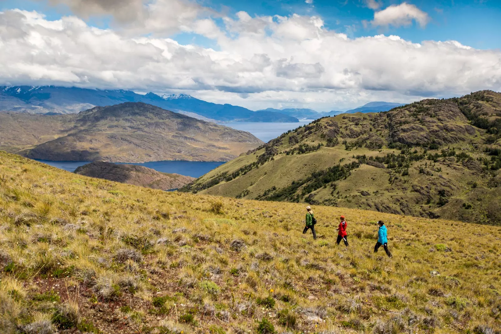 Národný park Patagónia