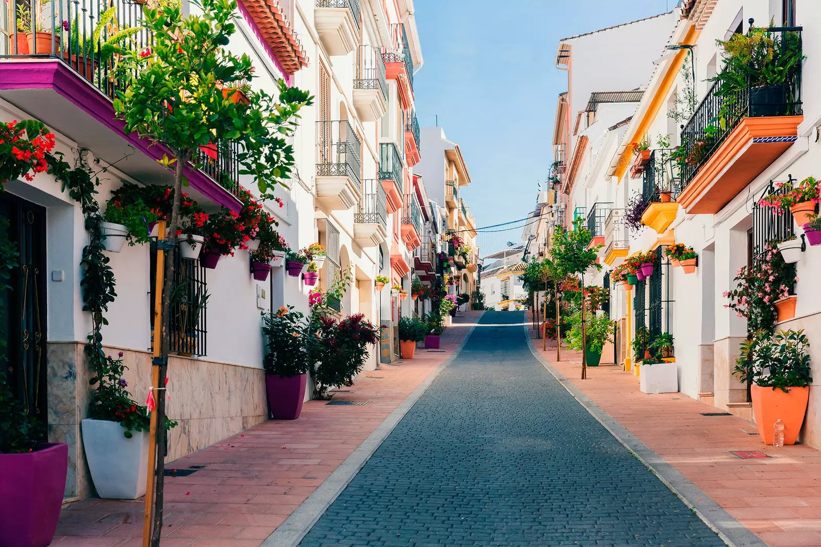 Estepona eller hagen på Costa del Sol