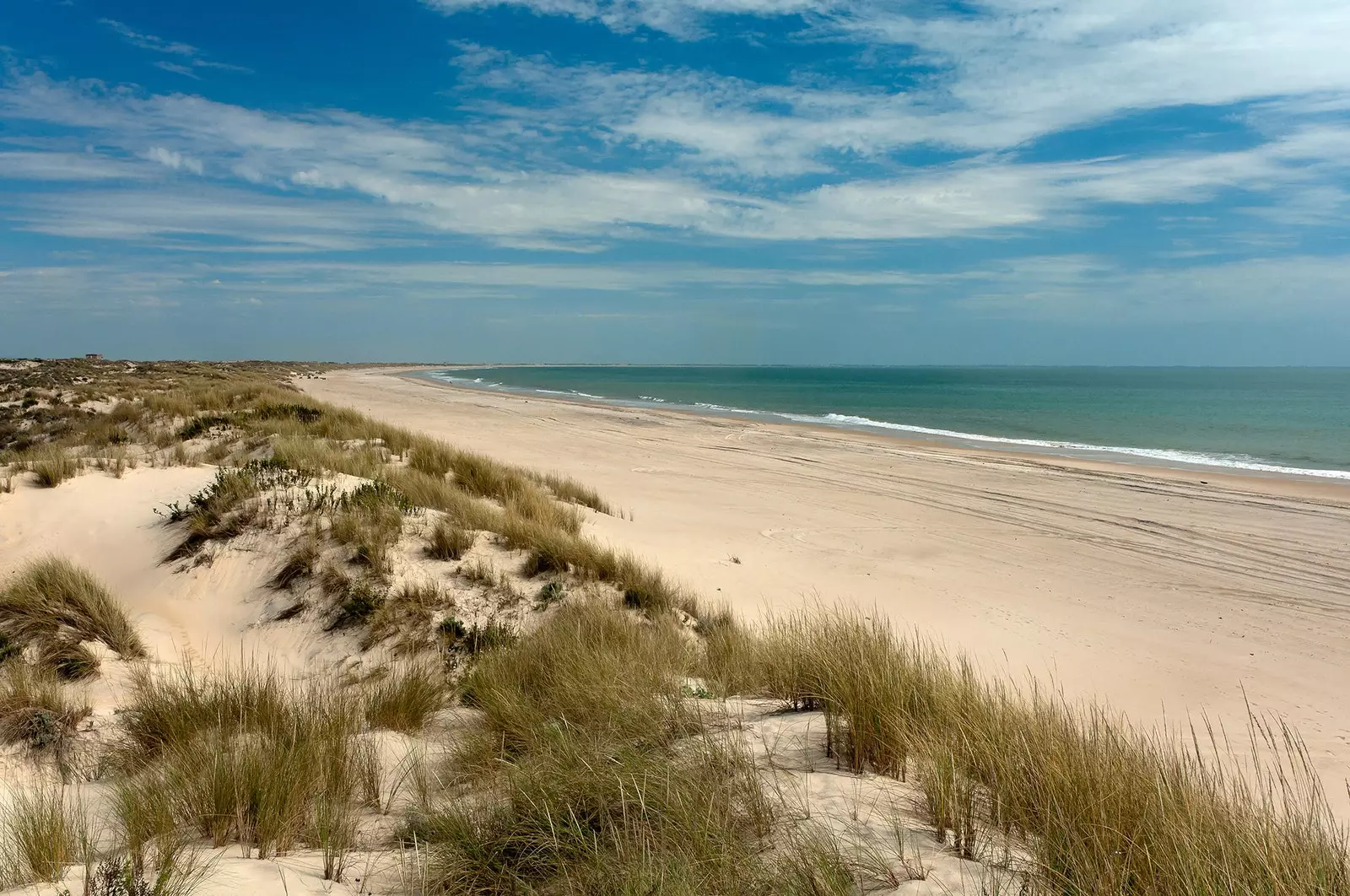 Plage de Donana