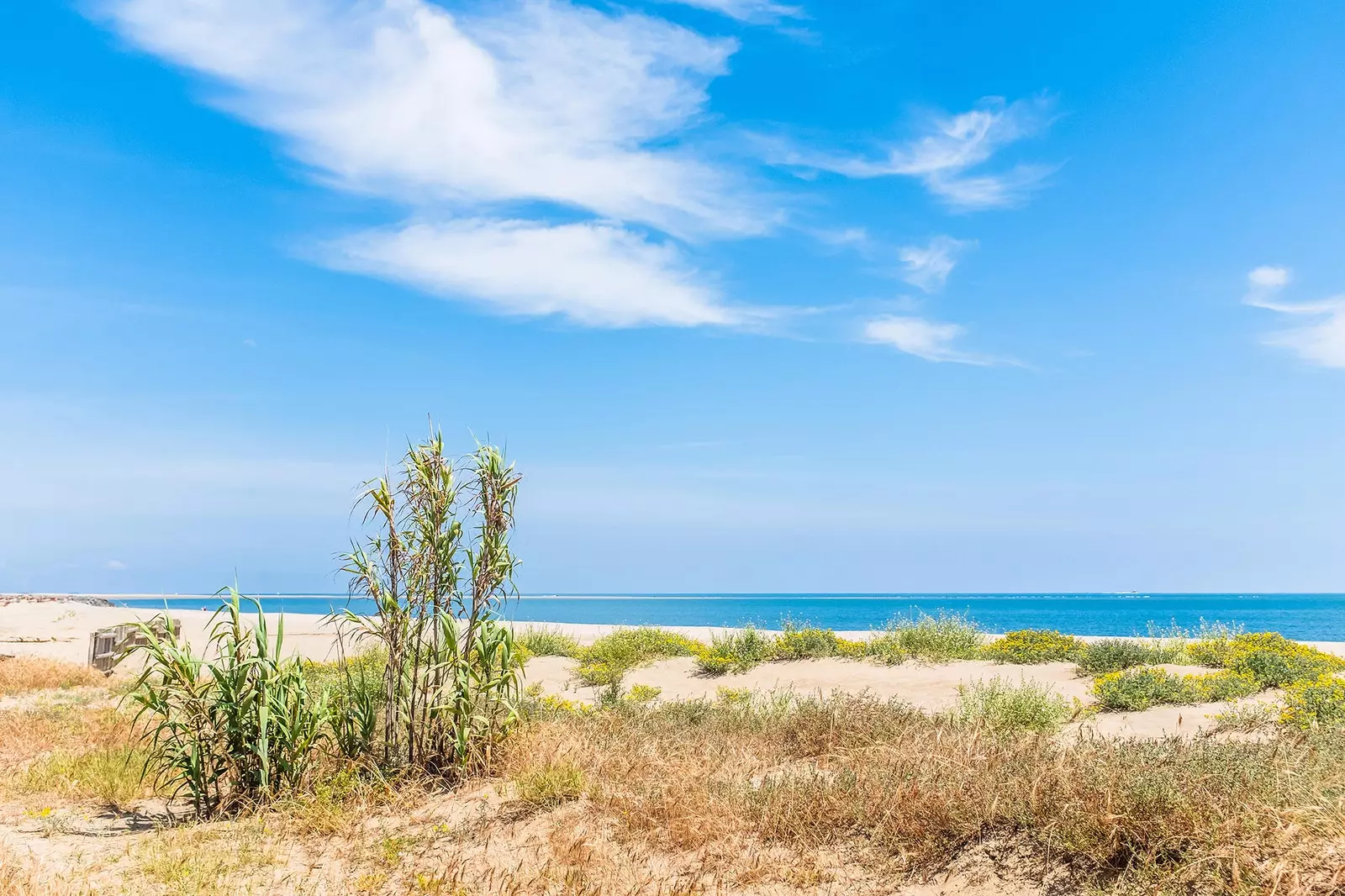 Manuel de base pour profiter des plages de Huelva