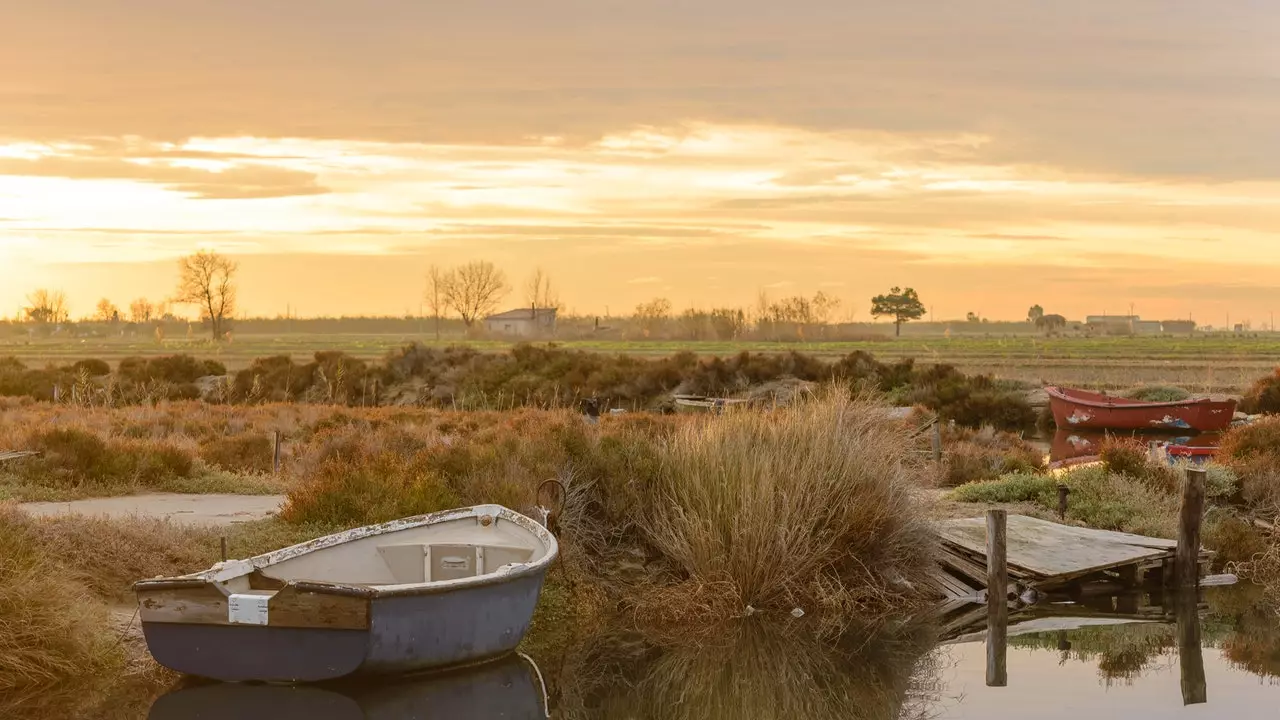 Ebro Delta: sublime horizontality