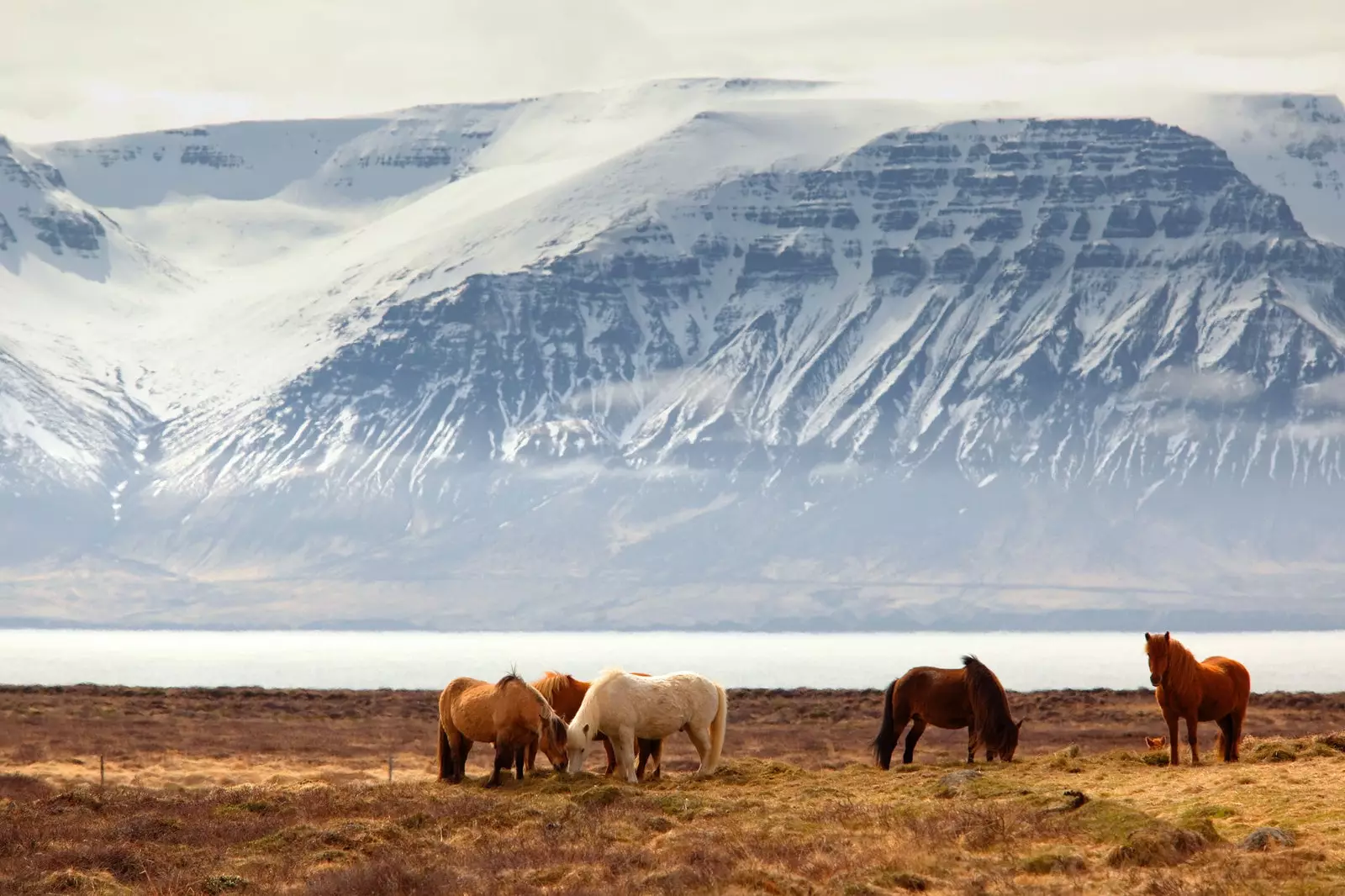 Islande