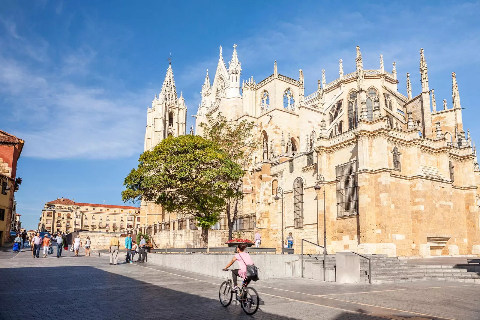 Catedral de Lleó