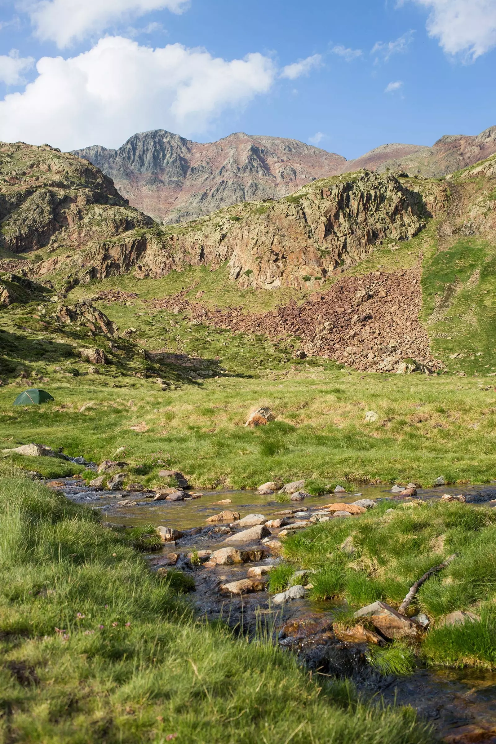 Pica dEstats Pyrenees