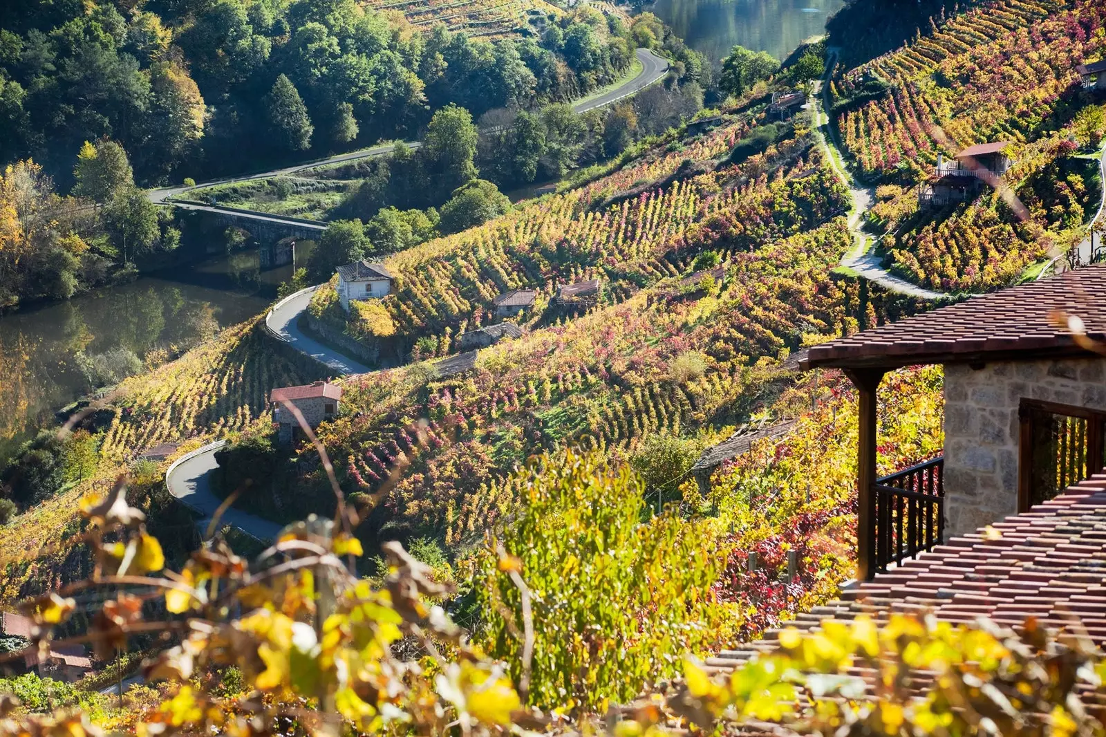 Ribeira Sacra'nın bağ terasları unutulmaz bir manzaradır.