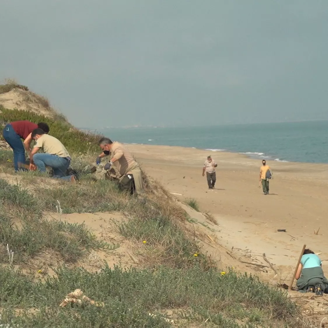 Pantai Parador El Saler