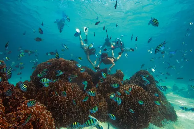 Ali ste vedeli, da je samo 28 oceanov zaščitenih