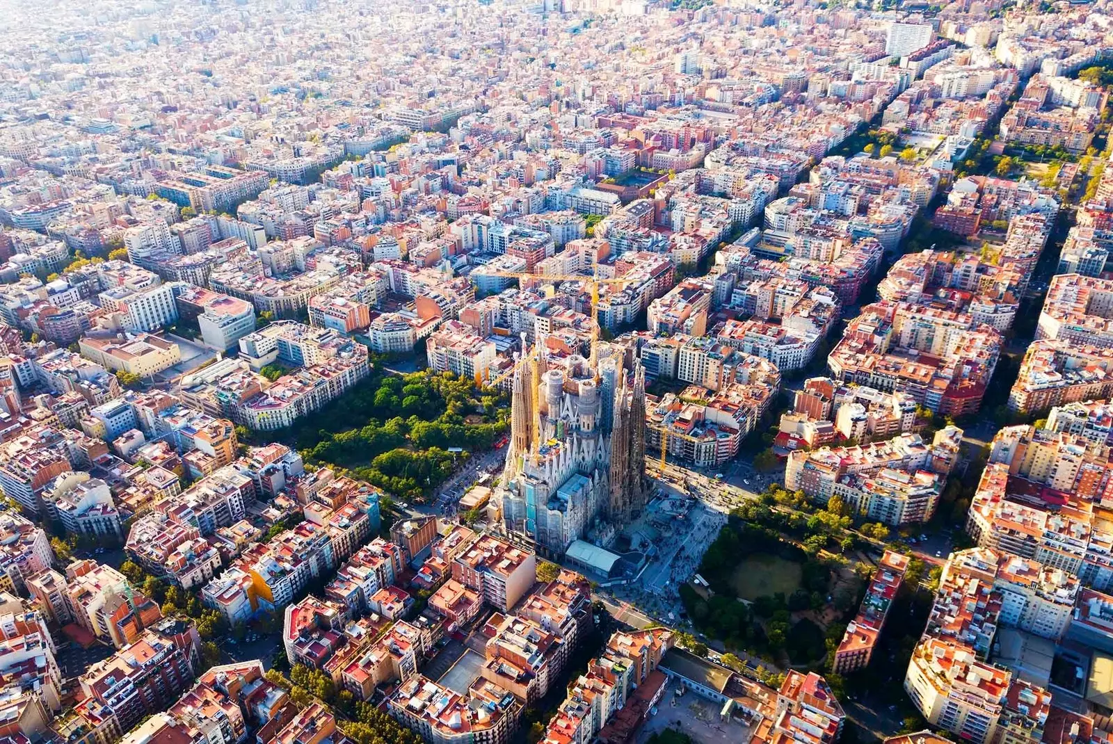 barcelona from the sky