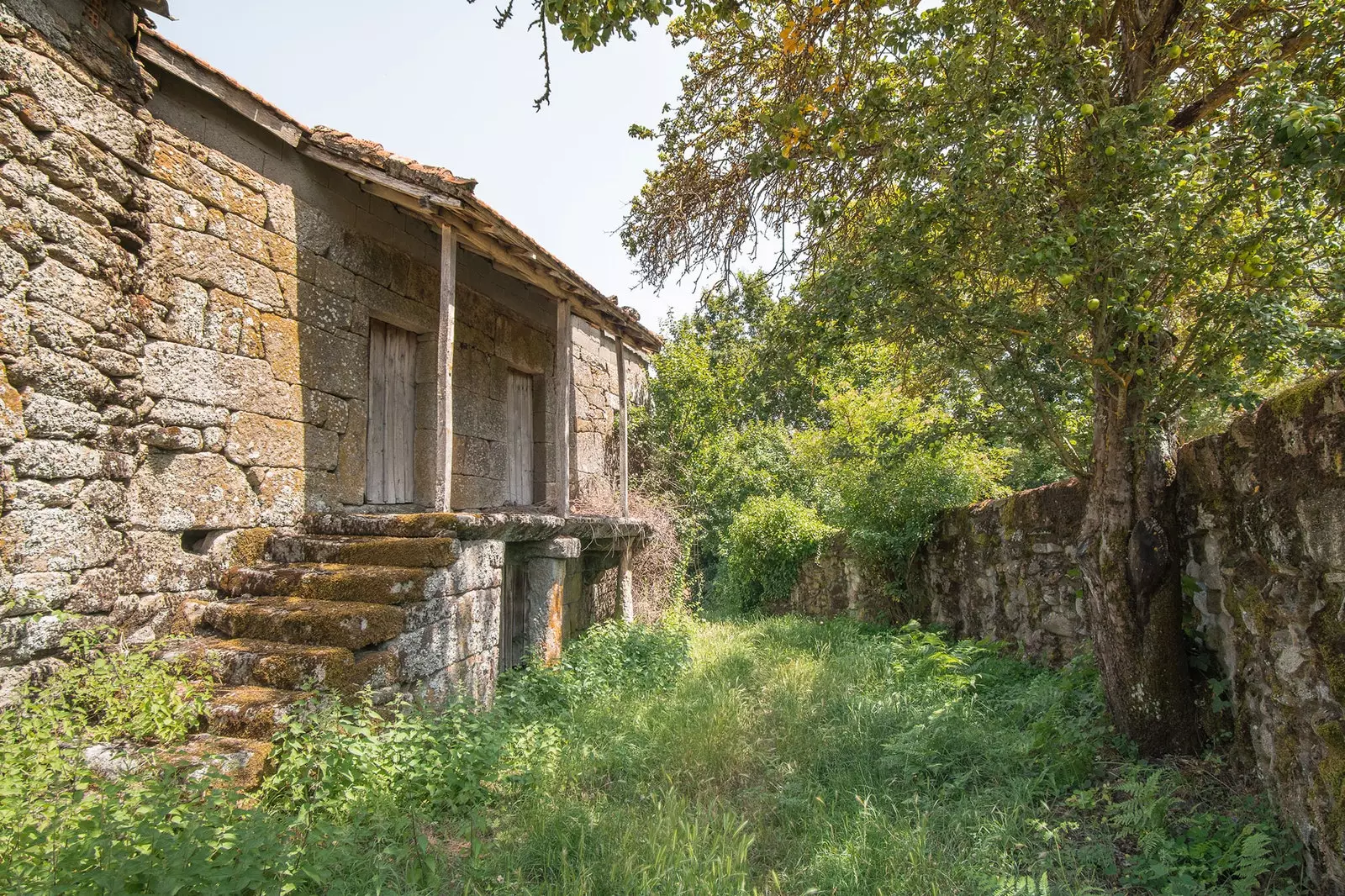 Խառը Couto պատմությունը, թե ինչ էր