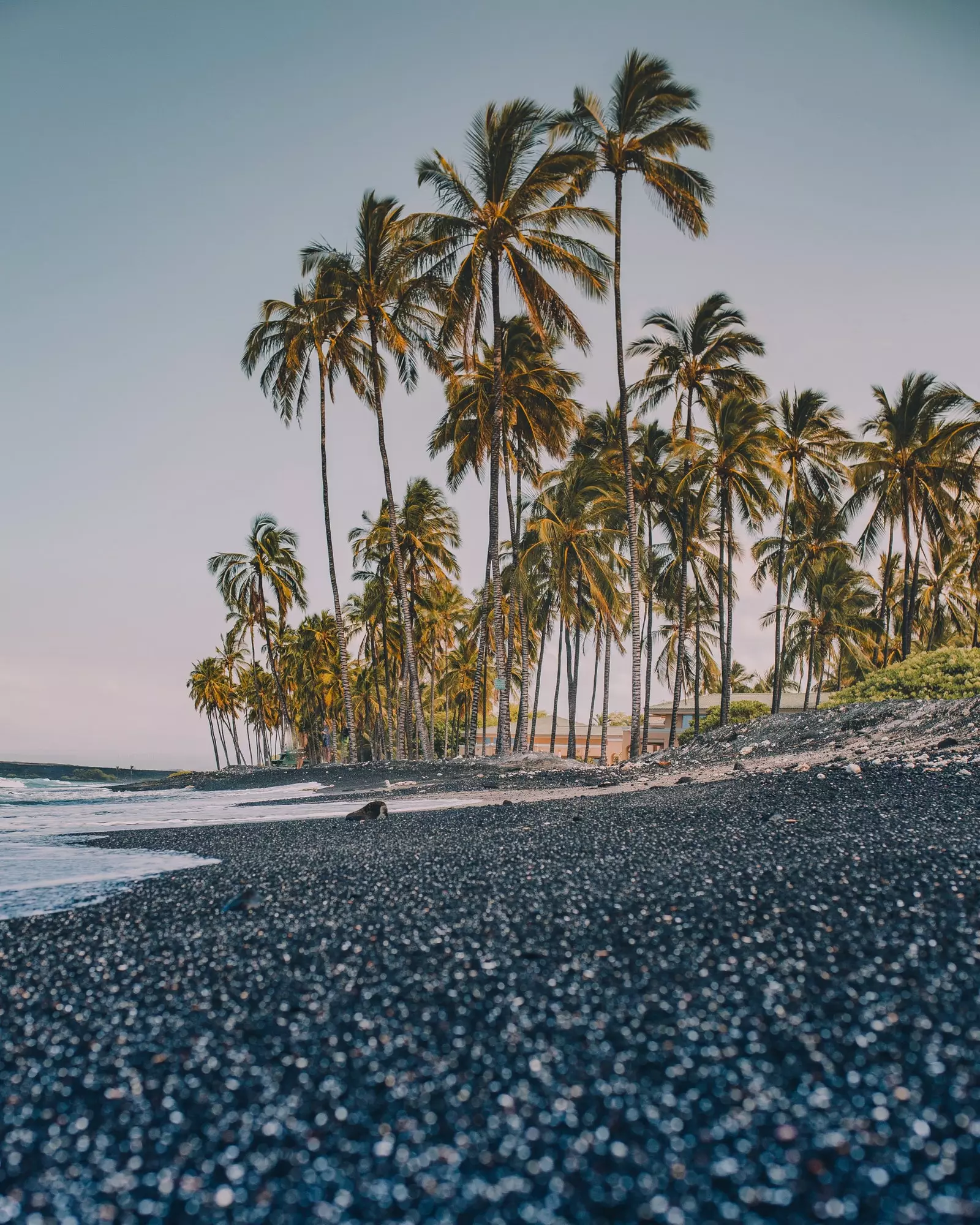 Kailua Kona Havi