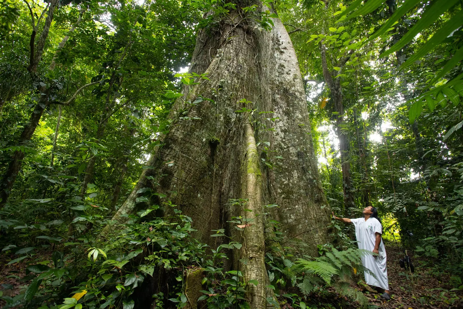 The Lacandones have been practicing regenerative tourism for thousands of years.