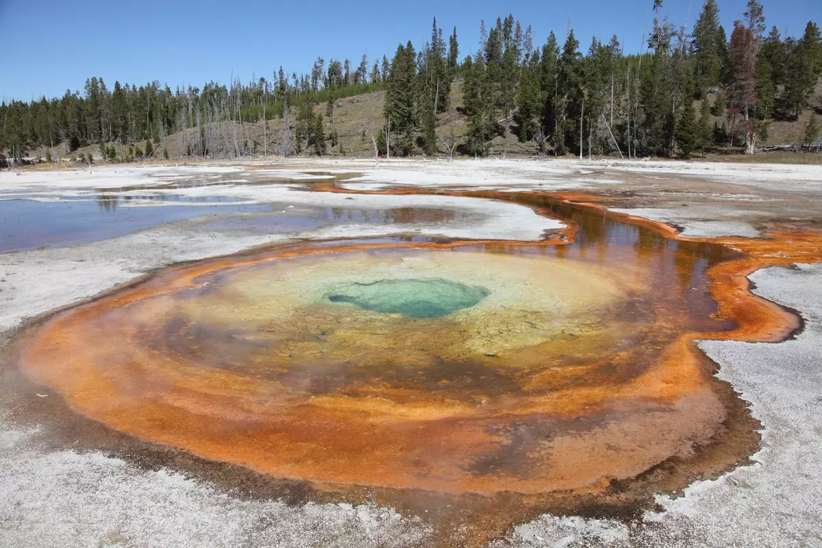 Natuurlijke gekleurde zwembaden in het Nationaal Park Yellowstone.