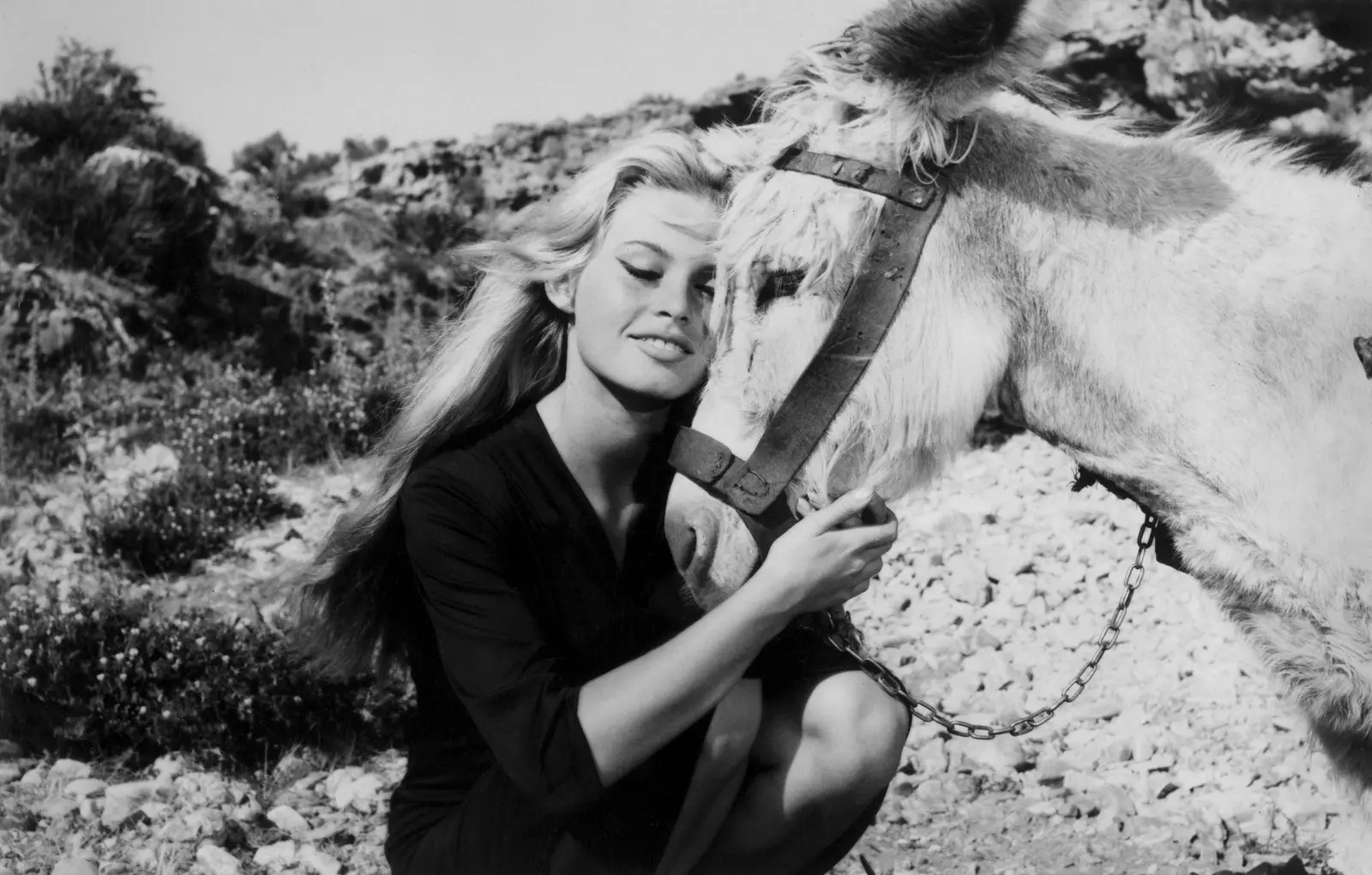 Brigitte Bardot semasa penggambaran 'Les bijoutiers du clair de lune'