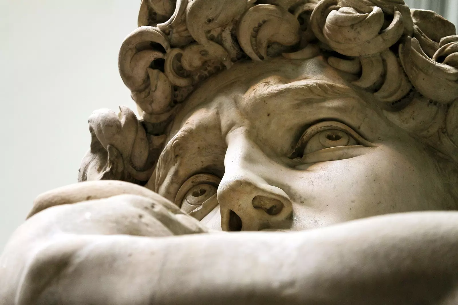 Detail van Michelangelo's 'David'