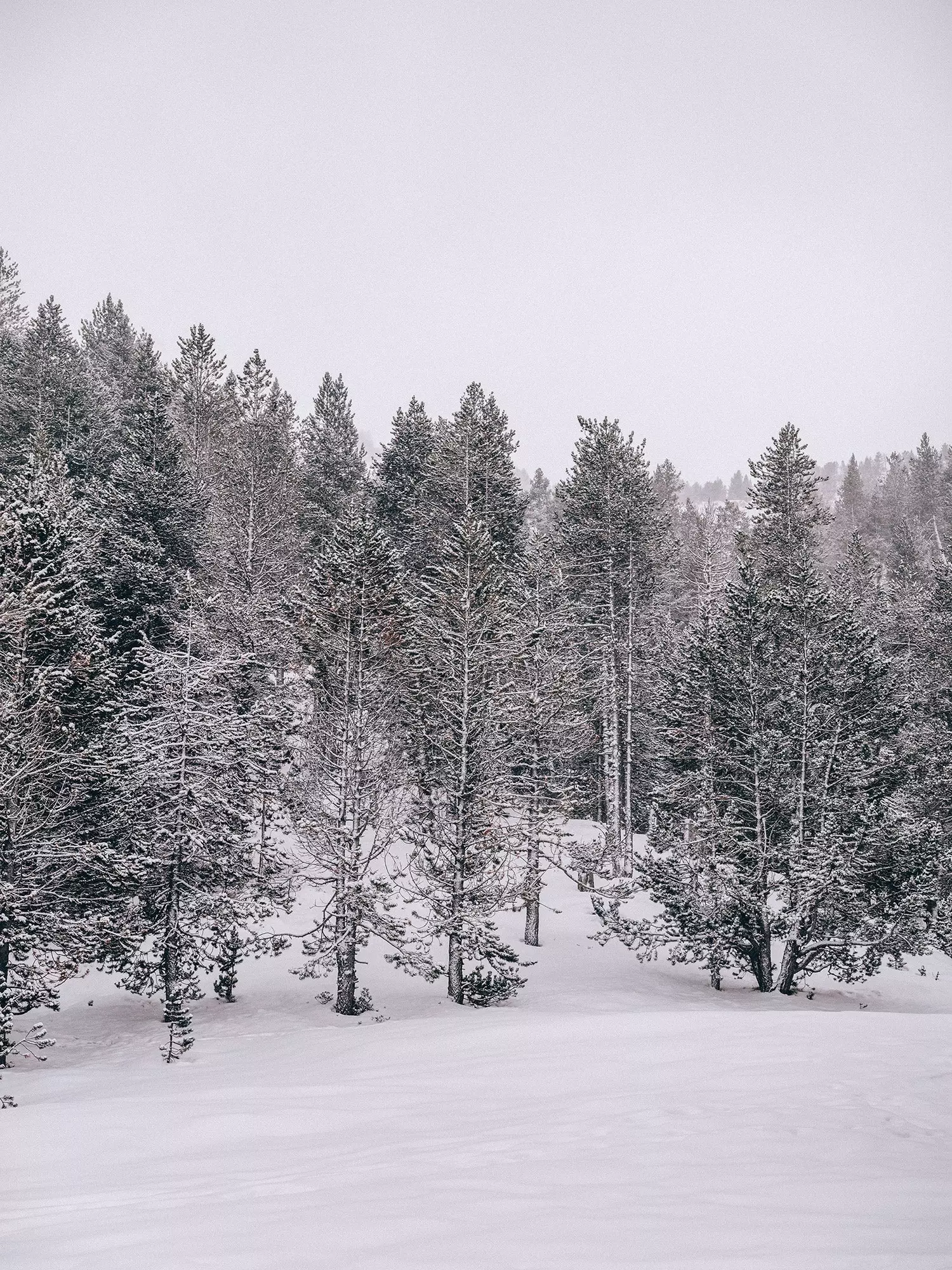 Andorra om vinteren