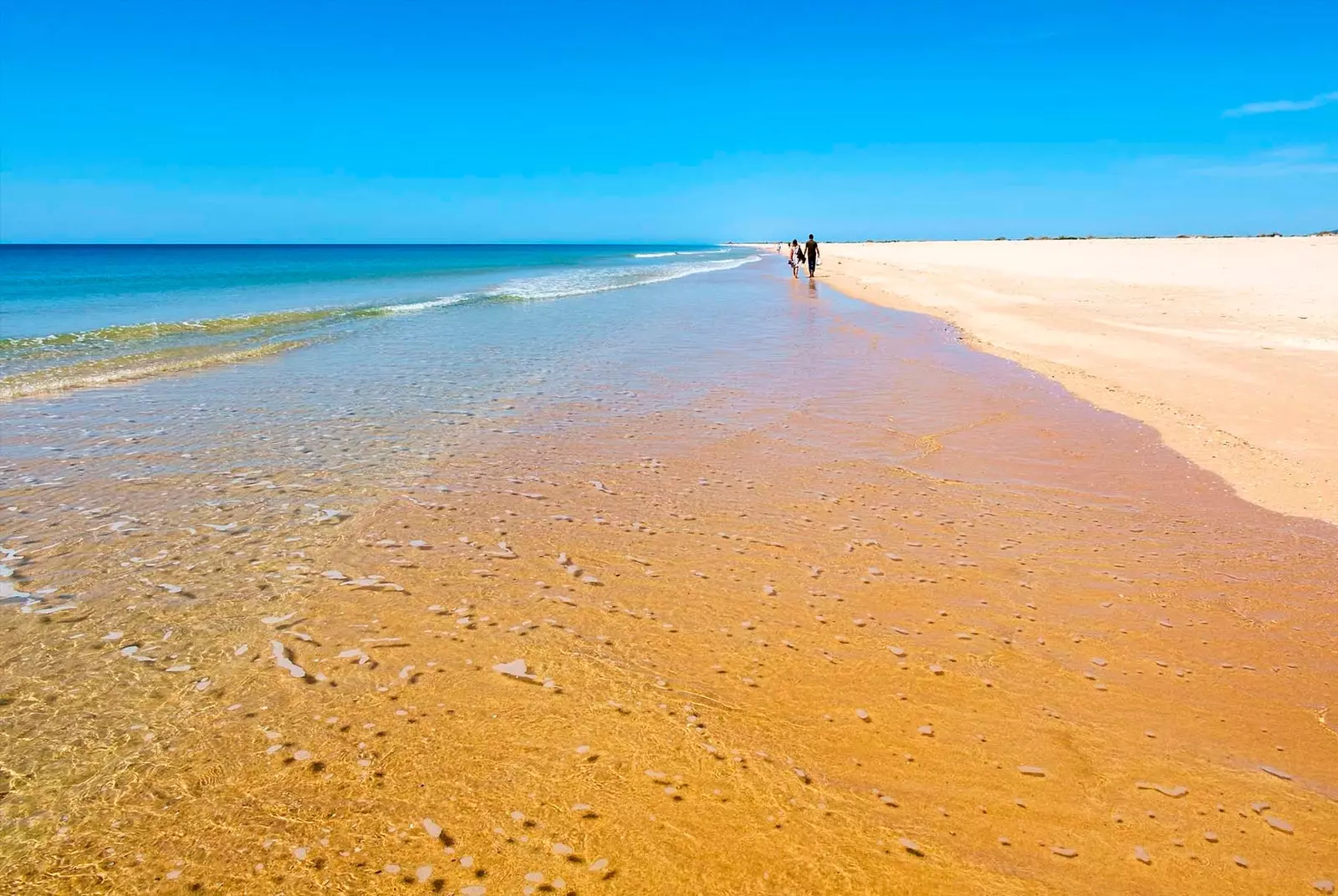 Plage de barils de Tavira