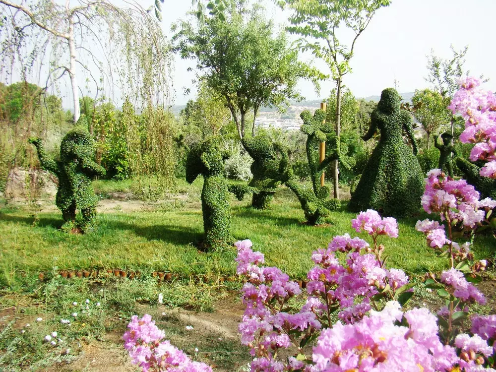 La forêt enchantée