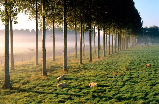 Visitare le valli del Calvados è un piacere