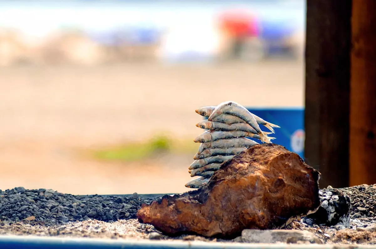 Costa del Sol boyunca bir rota izliyorum