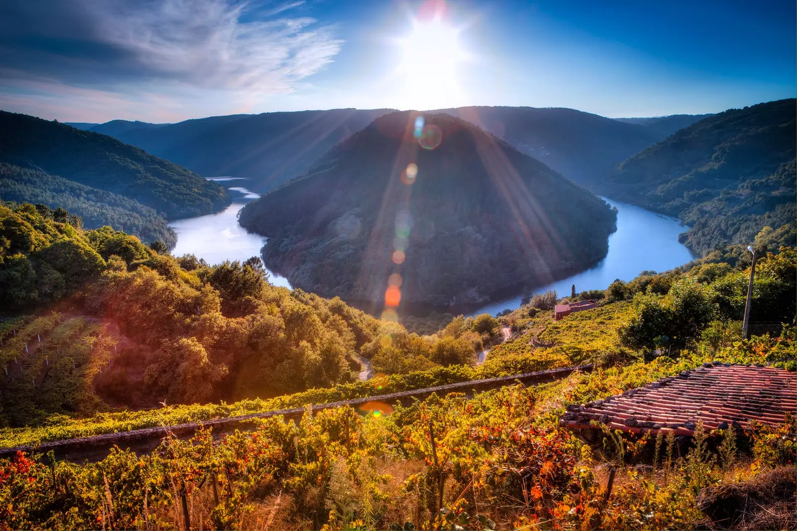 Ladang anggur di Ribeira Sacra