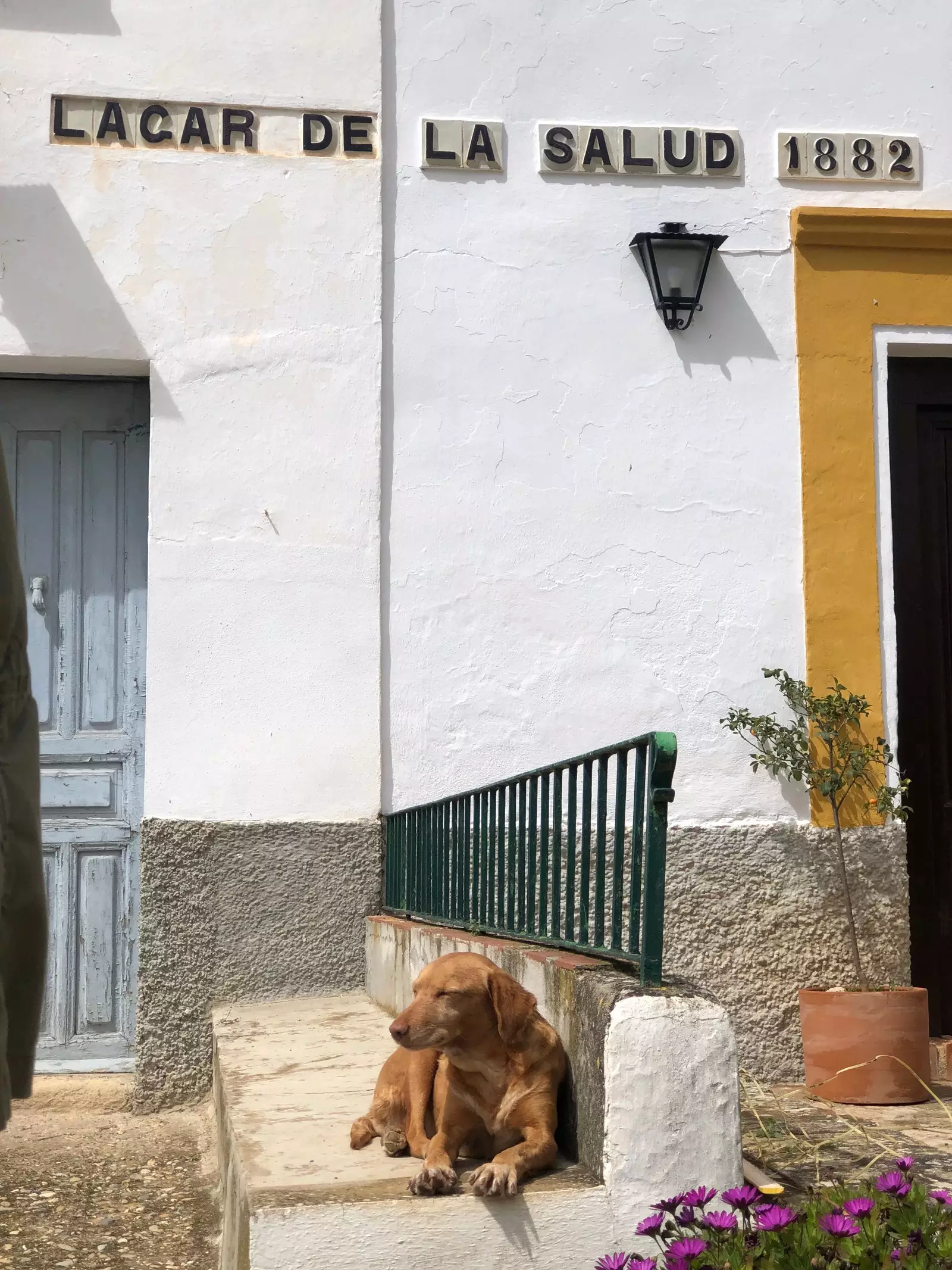 Sara anjing Ftima Ceballos dari Cordoba dari Lagar de la Salud