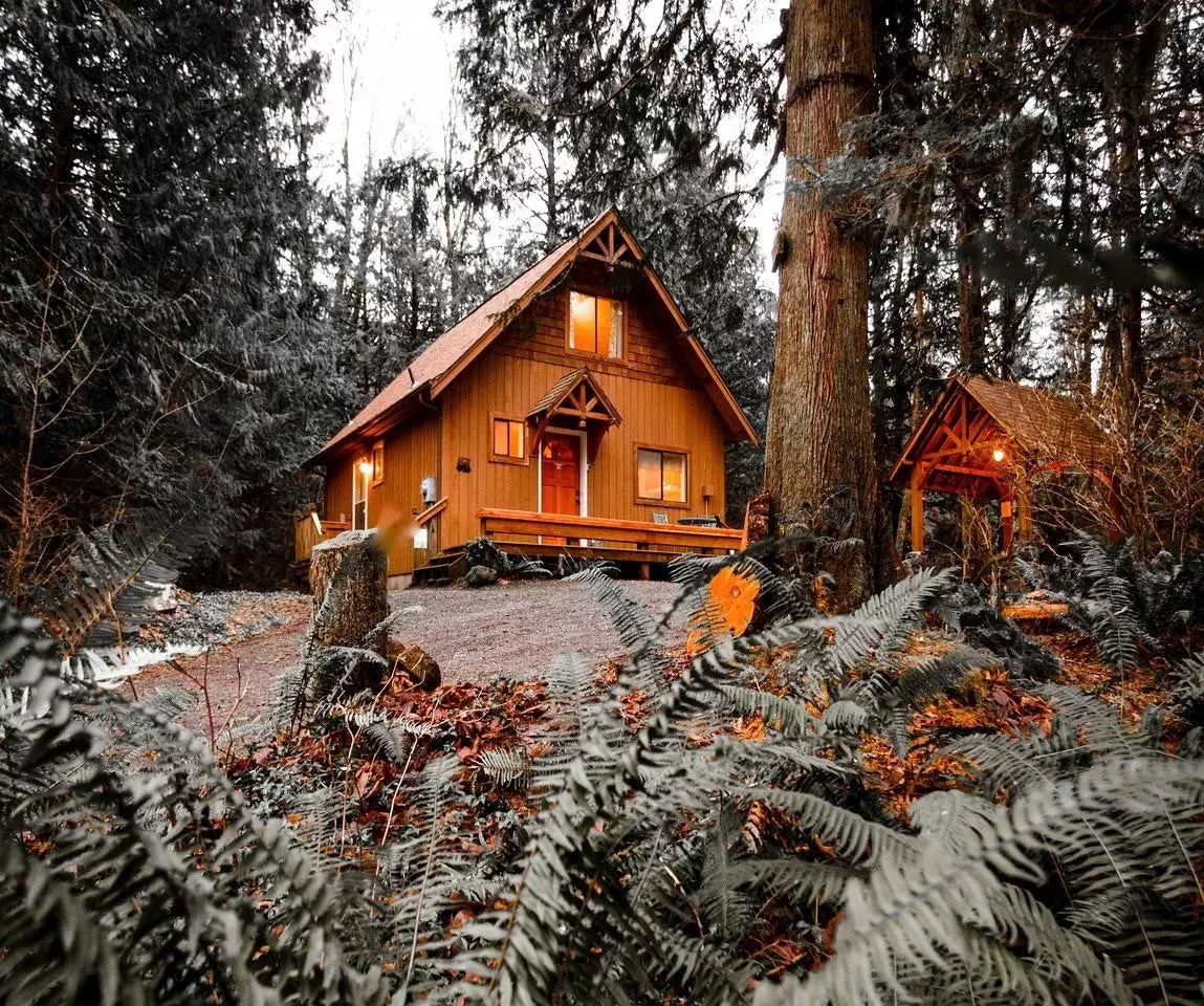 Petfriendly Cabin Cabin near Bellingham Washington