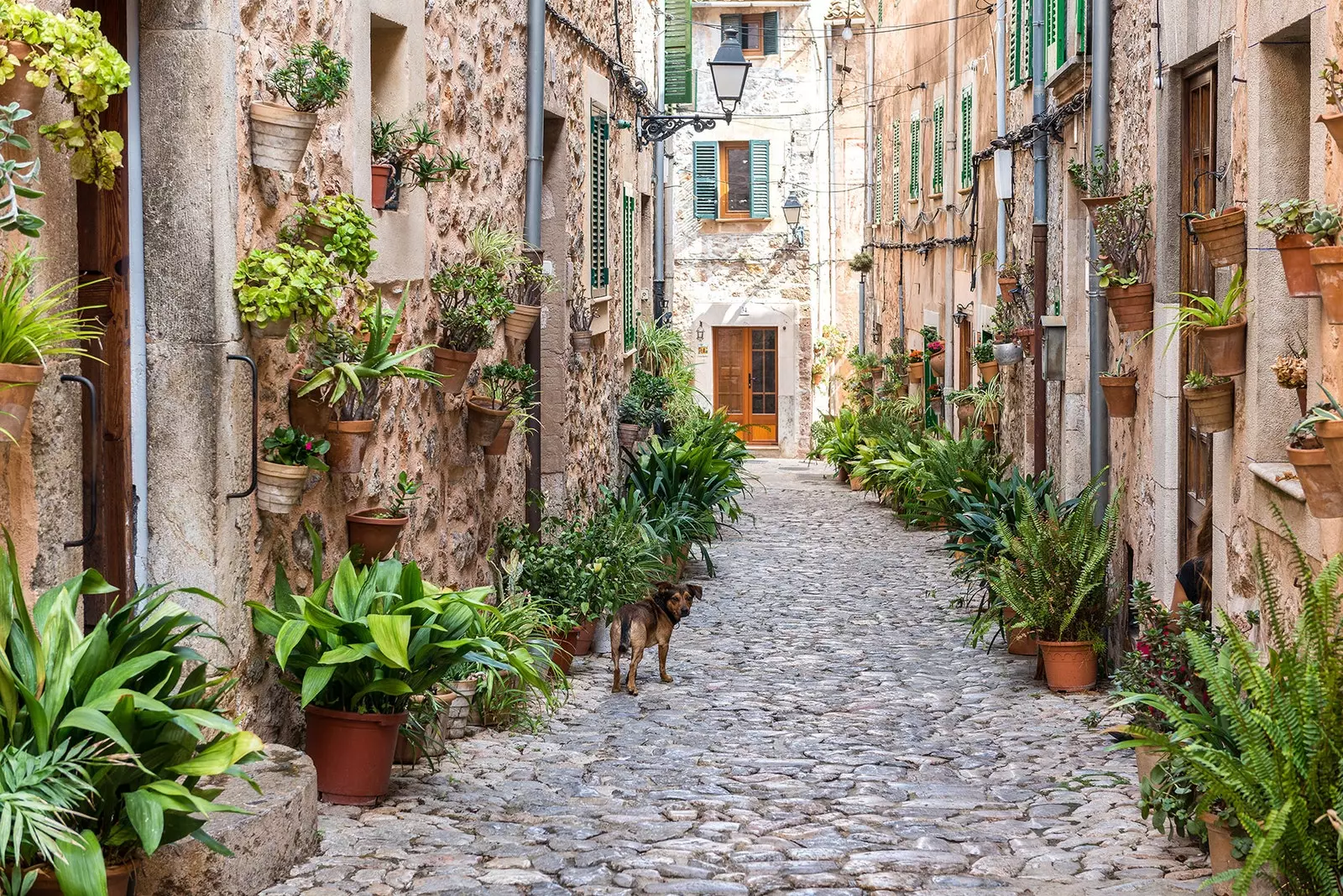 Valldemossa