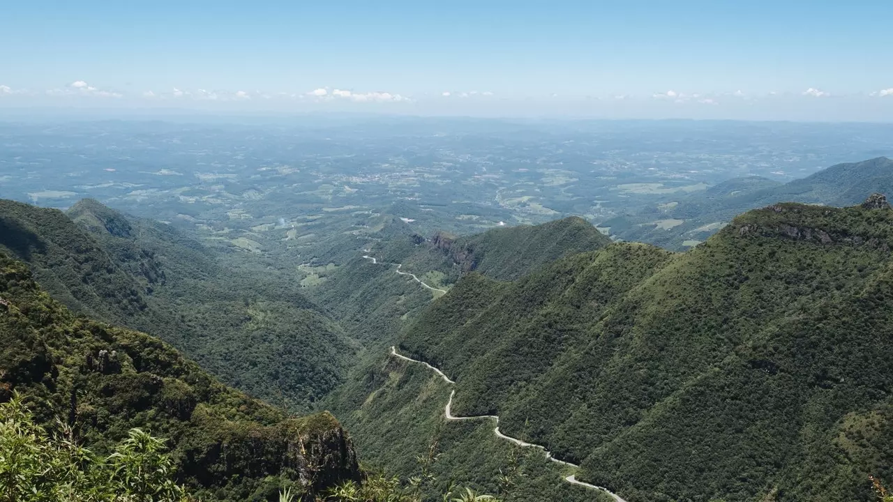 Le Brésil va lancer le plus grand couloir de reboisement d'Amérique du Sud