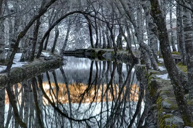 Serra da Estrela