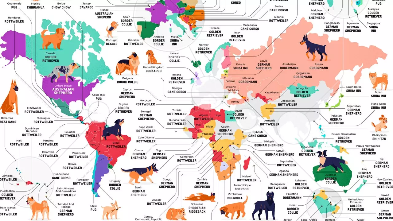 Il-mappa li turi l-klieb l-aktar popolari fid-dinja